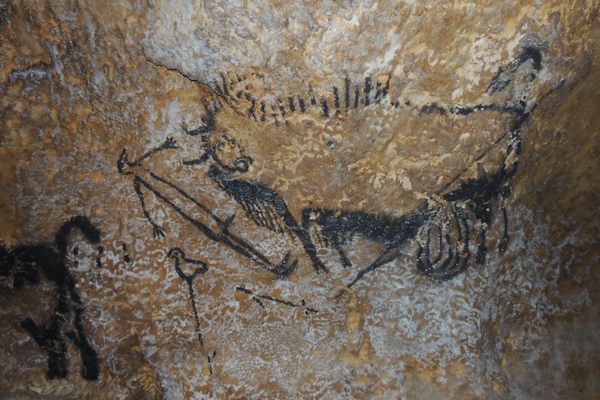 A bison figure depicted in the Lascaux Shaft Scene.