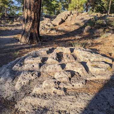Mysterious Carved Rocks of Los Alamos