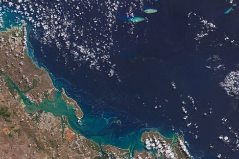 The brown streaks in the water, near the coastal city of Gladstone, Australia, are a bloom of Trichodesmium cyanobateria.