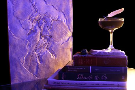 The Archaeopteryx cocktail, which Carney concocted the day his paper was published, is pictured here with a replica of the Berlin specimen.