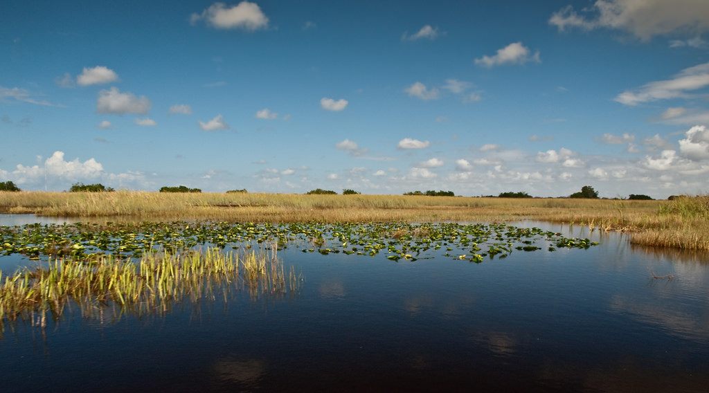 The Everglade National Park in Florida.