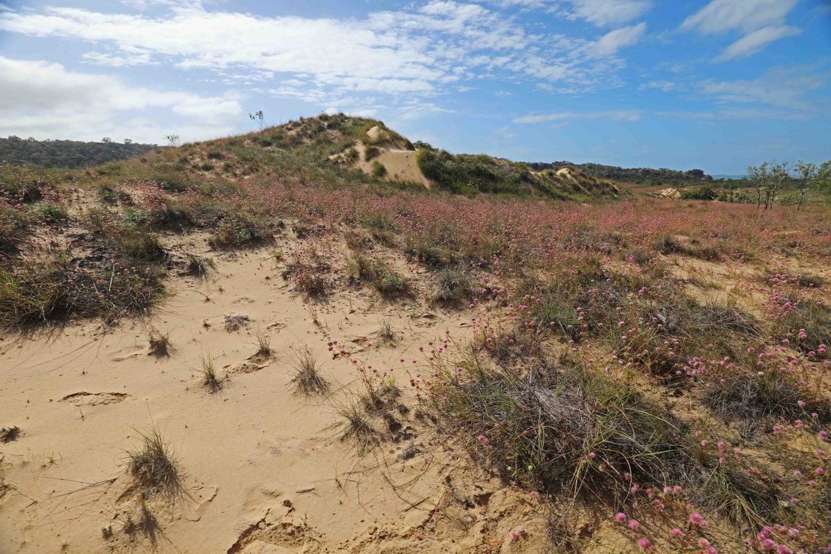 Groote Eylandt, a large island off Australia's Northern Territory coast, is a mosaic of dunes, woodland, and rocky outcrops.