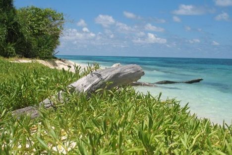 Ursula Island