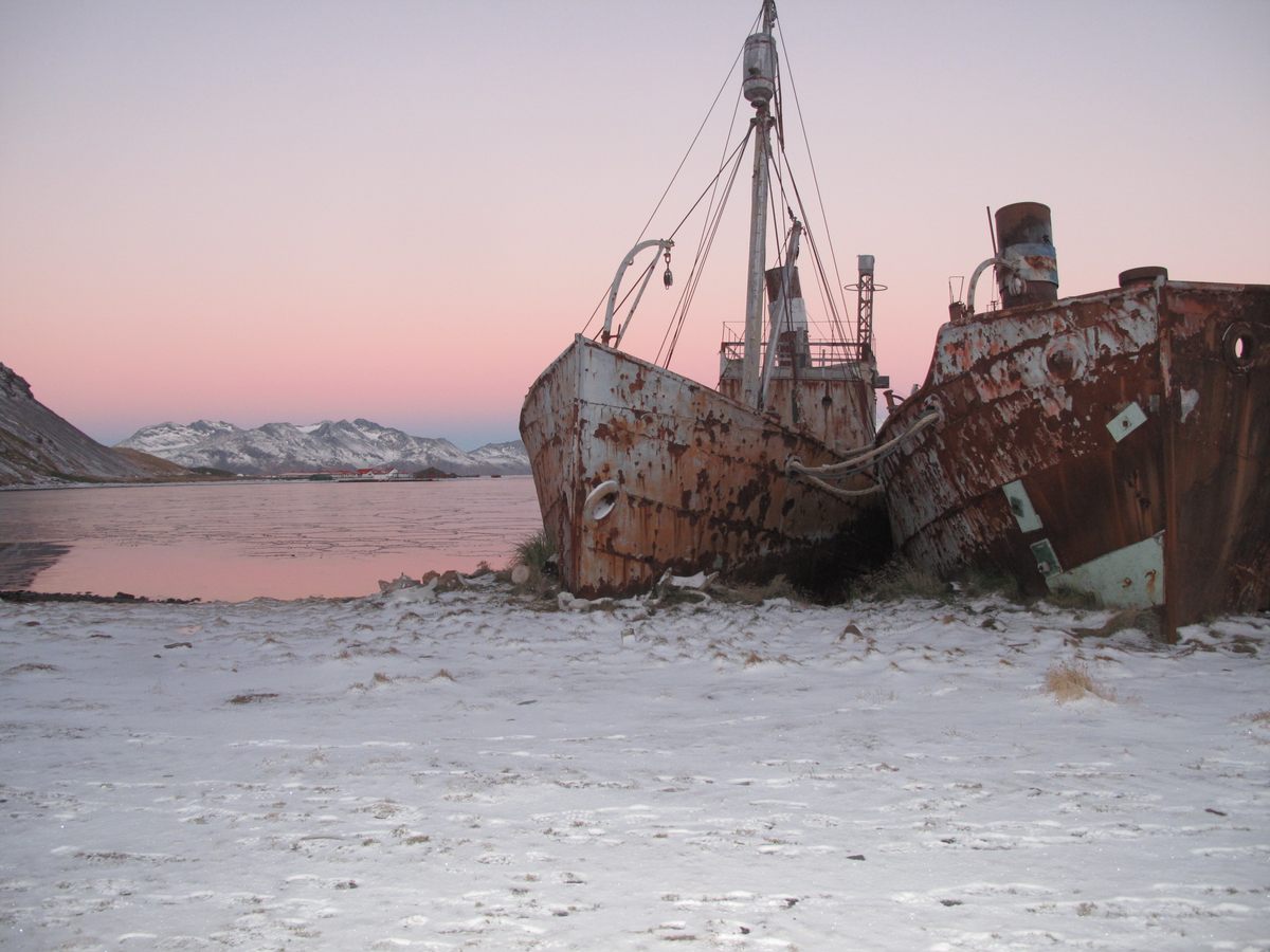 Years ago, seal and whaling ships landed on the island. Today, it is mostly cruise ships.