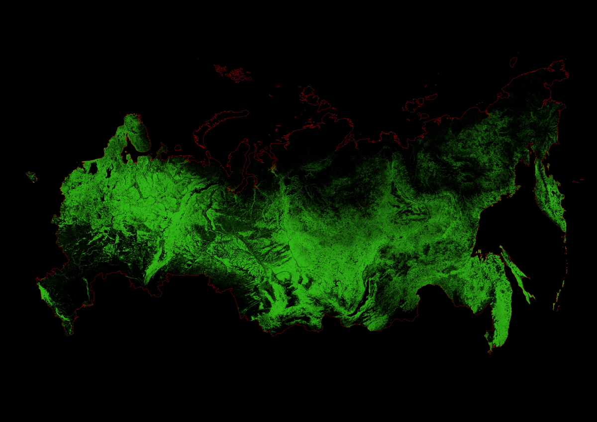 Forest cover of Russia.