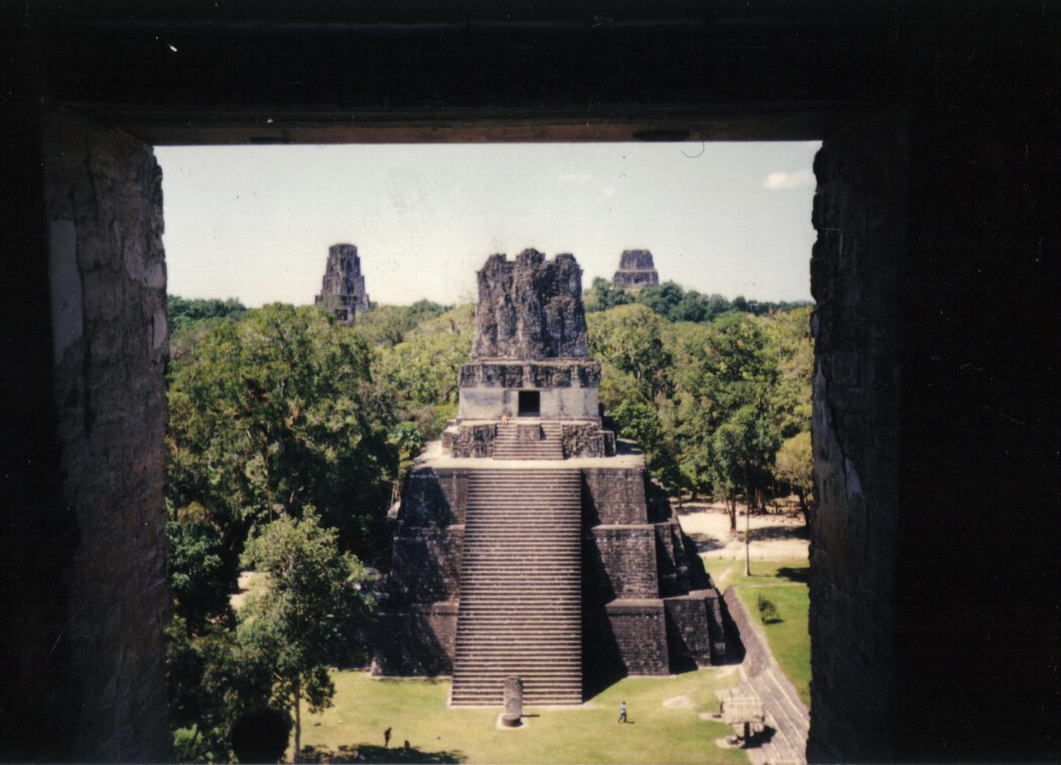 One of the cleared temples at Tikal. Temples IV and V are in the background.