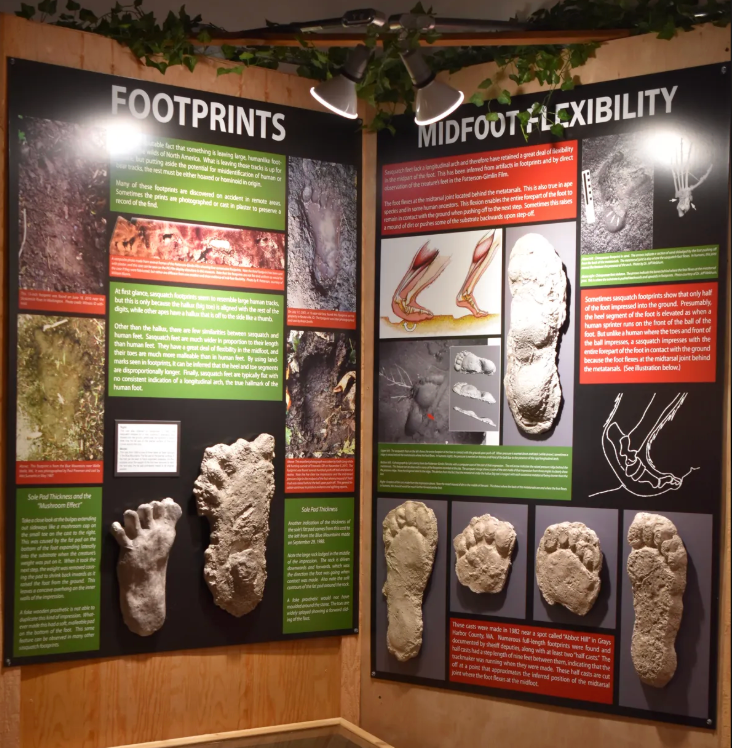 The North American Bigfoot Center.