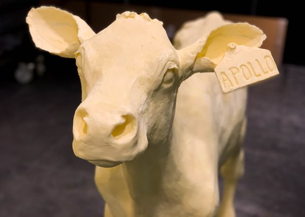 A detailed sculpture made from butter of a 600 pound man eating a
