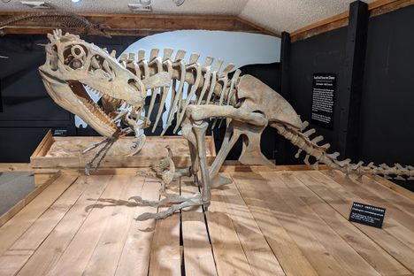 Morrison Natural History Museum