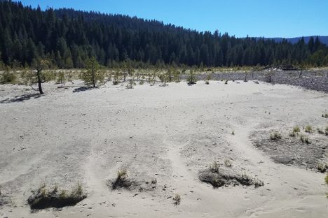 Tailings flat in June 2020, before the Dixie Fire.