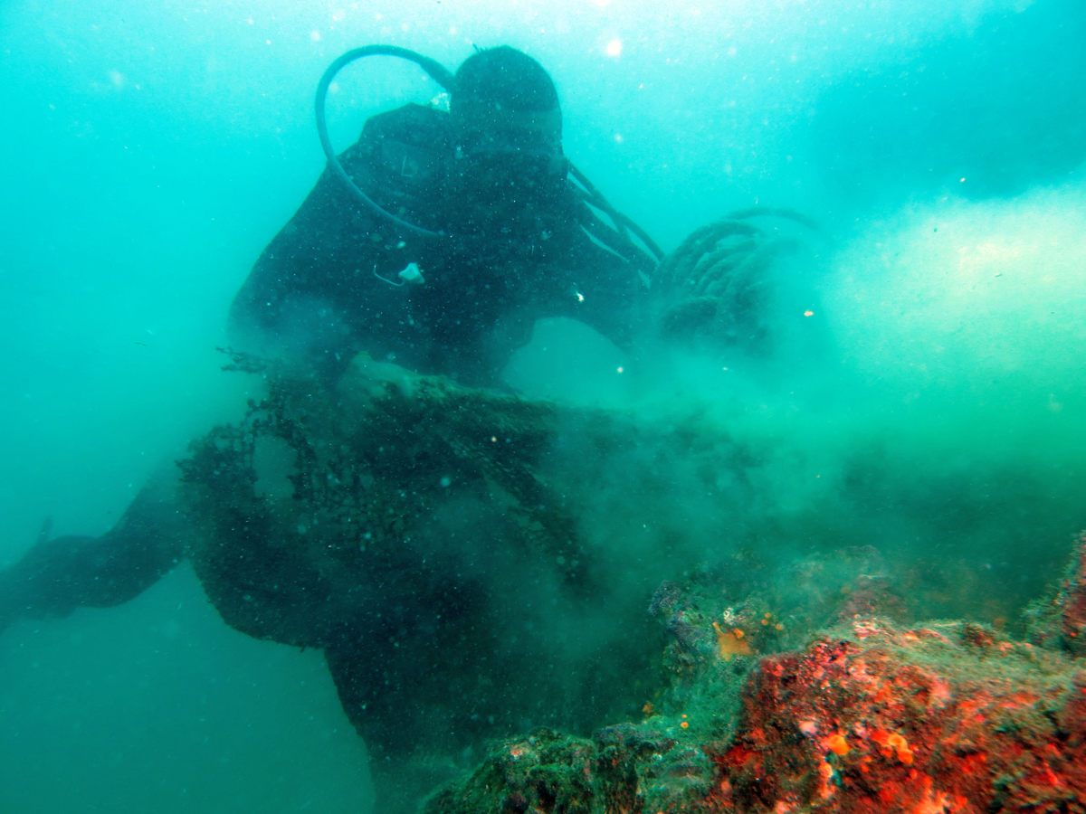 Ghost Nets Haunt the World's Oceans, Hunting Beyond the Grave - Atlas  Obscura