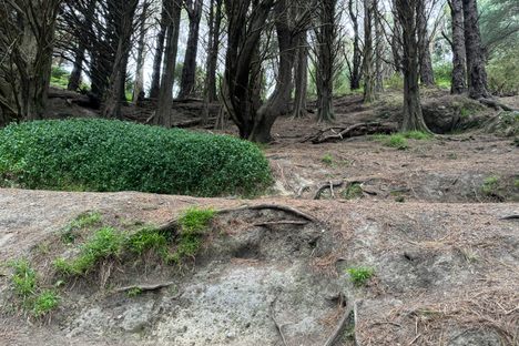 Hobbit Hideaway