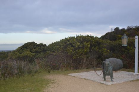 The dog line looking east