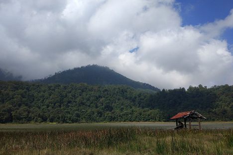 Mount Argopuro