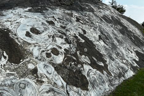 Hamburg Stromatolites
