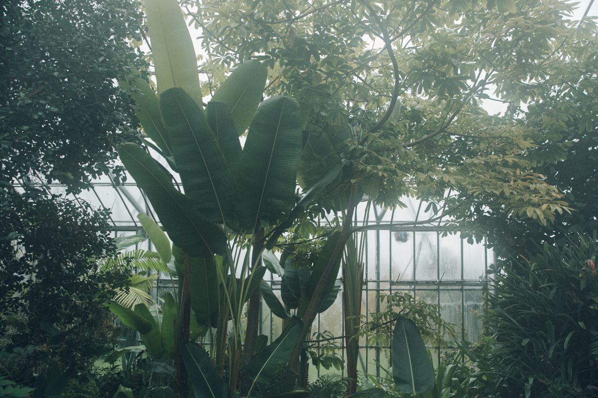 The Royal Botanic Garden Edinburgh in Scotland is a favorite of the photographers.