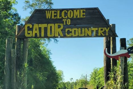 Gator Country