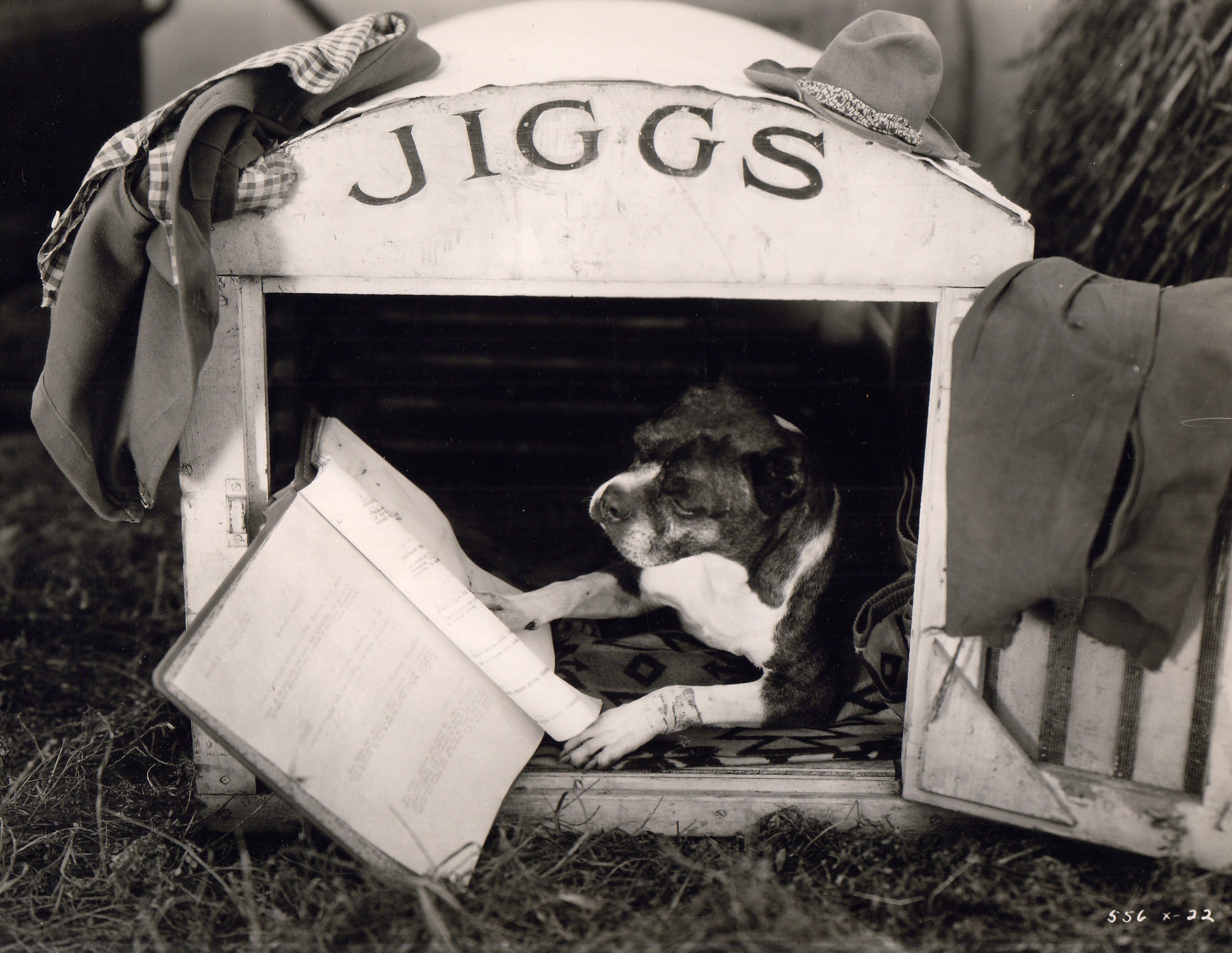 The 1930s Film Parodies Starring Only Dogs - Atlas Obscura