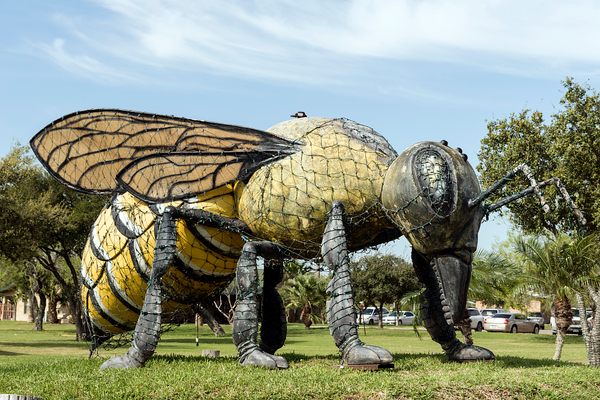 Hidalgo, Texas’s “killer bee” statue.