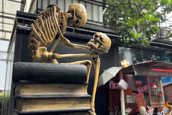 A skeleton on display contemplating its own mortality.