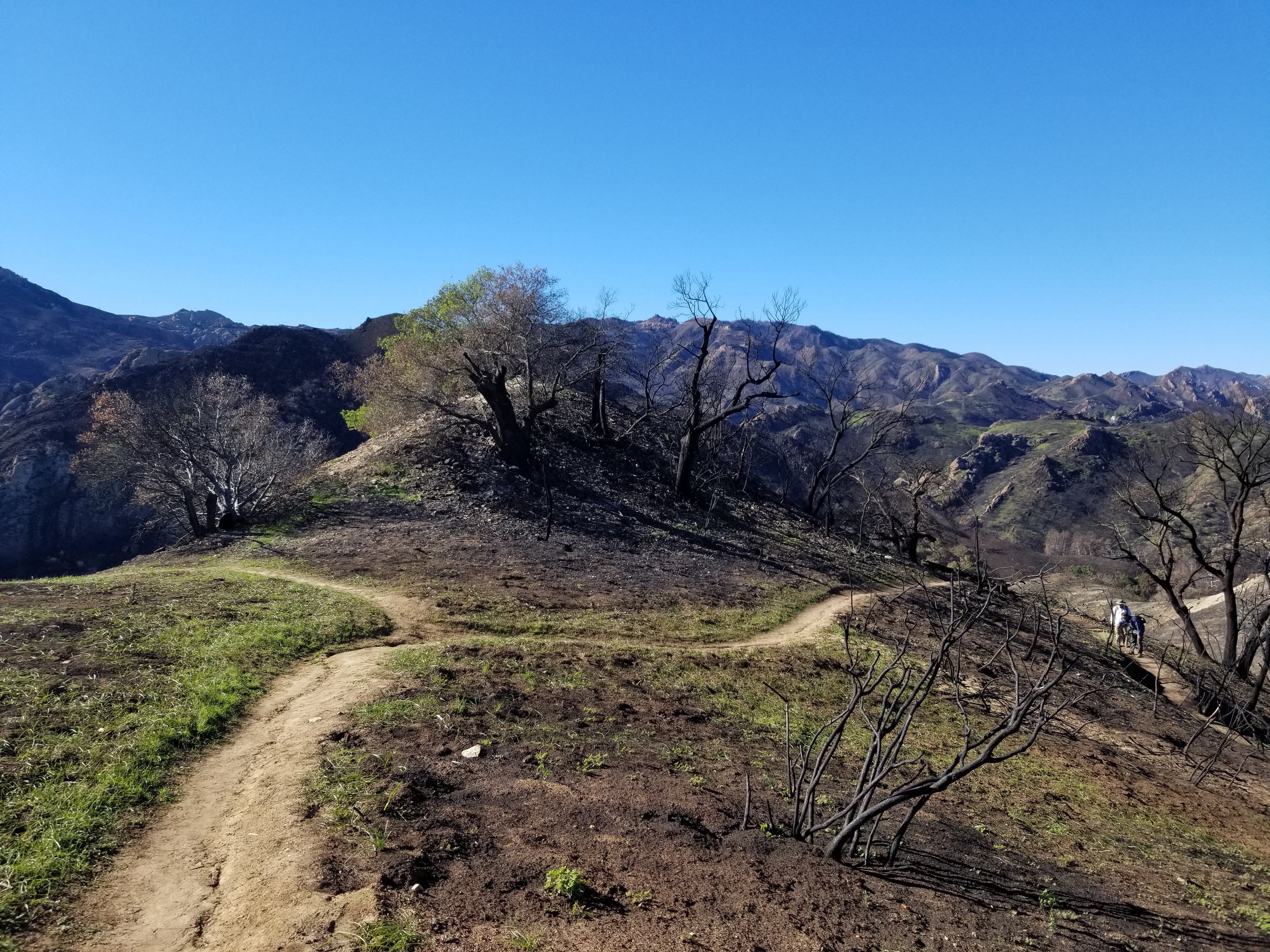 The Santa Monica Mountains, post-Woolsey Fire.