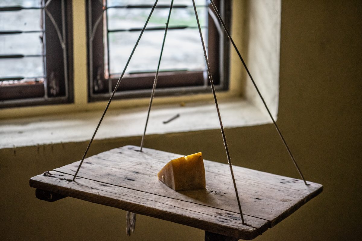 Yak cheese, weighed on a simple scale.