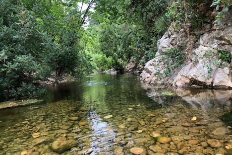 Kizv stream below the Monfort.