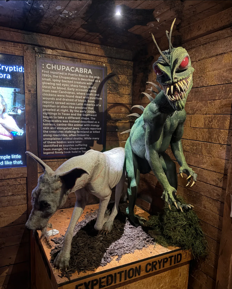 Chupacabra at the North American Cryptid Museum.