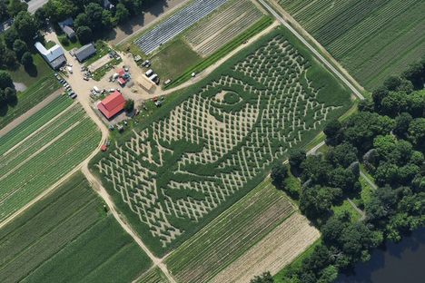A Corn Maze Where You Can Get Lost in Dali's Mustache