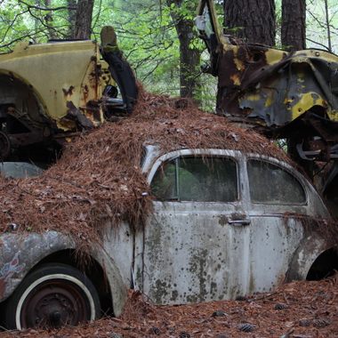 Old Car City in White, Georgia. 