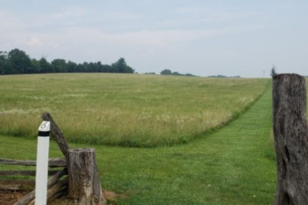 The Field of Lost Shoes