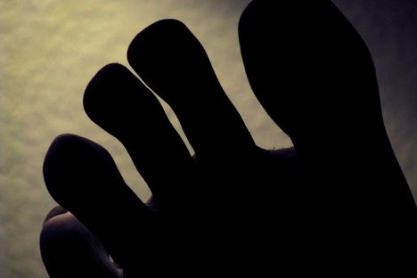Why Do We Even Have Toes?