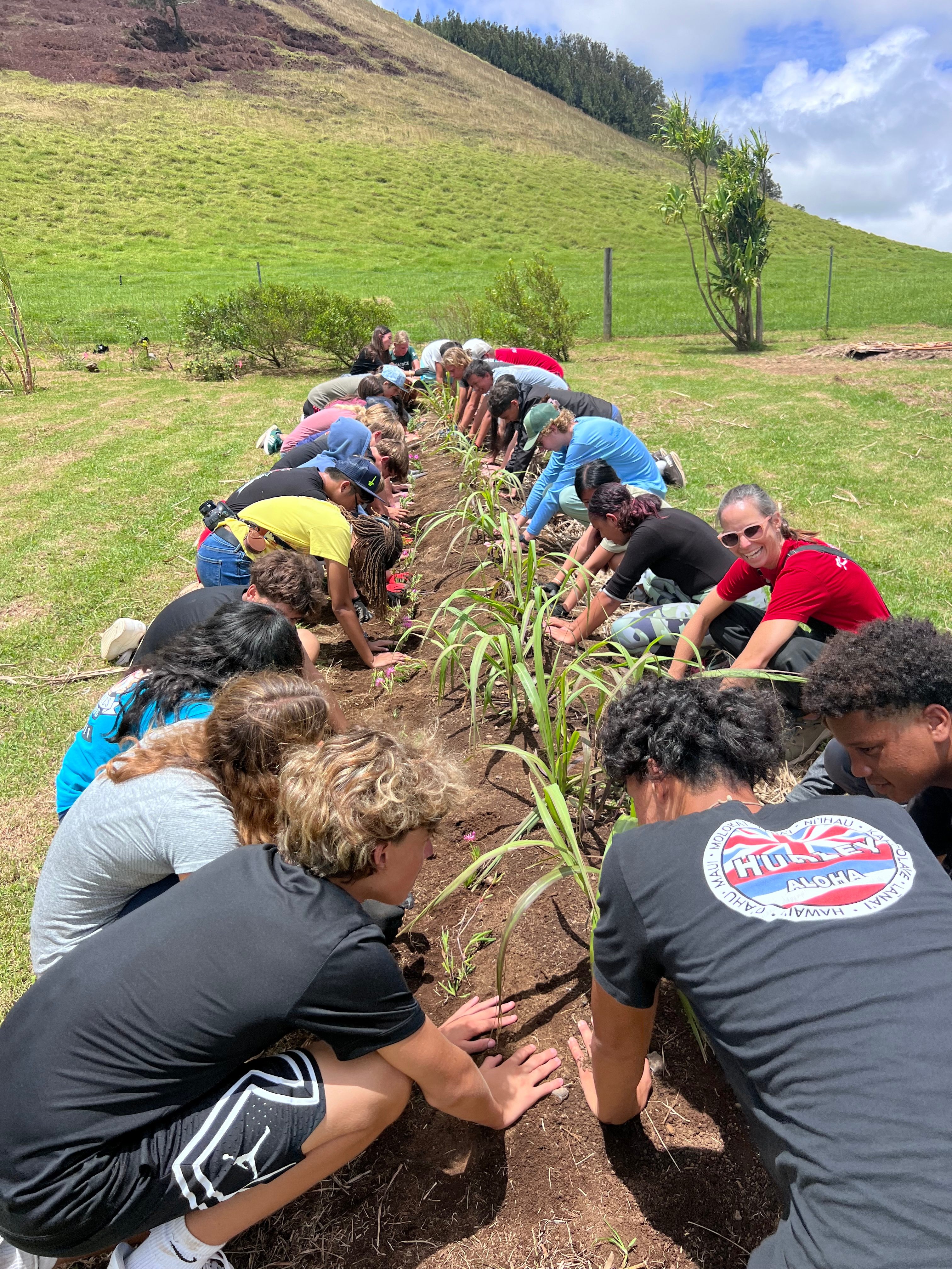 Eighth graders from Hawaiʻi Preparatory Academy plant ‘ākulikuli flowers beside planted sugarcane.