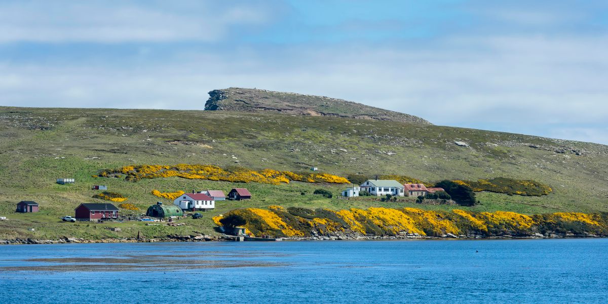 New Island is managed as a nature reserve and has just one small settlement.