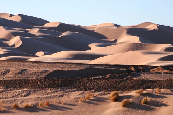 Algodones Dunes