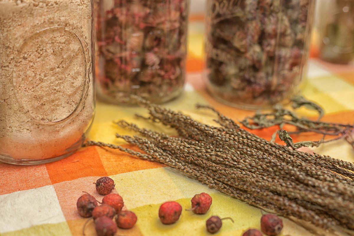 A spread of foraged foods on Marion's kitchen table.