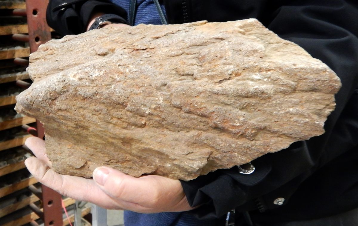 This shatter cone from the Slate Islands is stored in the archives of the Ontario Geological Survey in Thunder Bay.