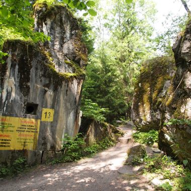 The Wolf's Lair