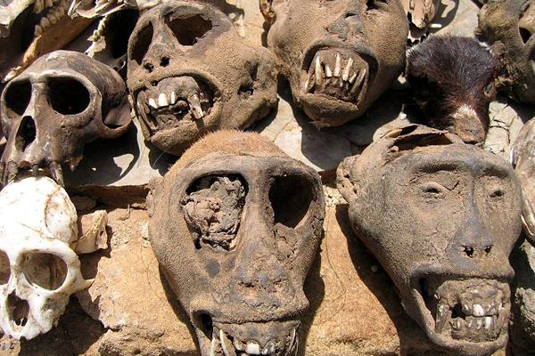 Skulls at the Fetish Market