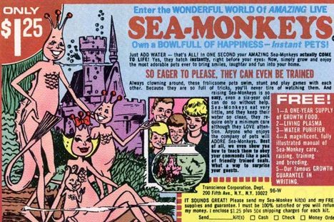 Friday Media Round-up: Adventures and Oddities