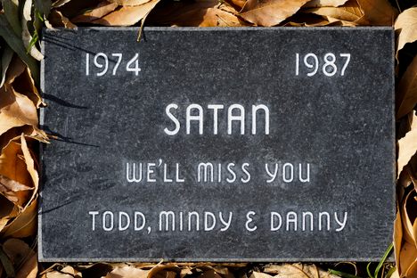 Photographing Pet Cemeteries, A Dignified Death for Our Departed Pets