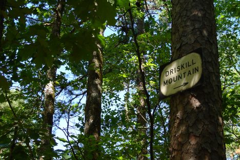 Sign to Driskill Mountain