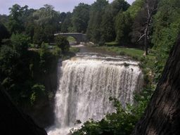 The biggest - Webster's Falls