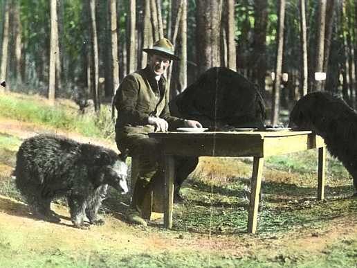 Horace Albright dines with some bear friends in 1922.