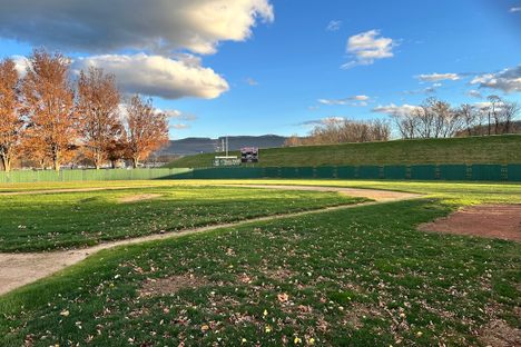 Williamsport’s Carl E. Stotz created a smaller field for younger baseball players.