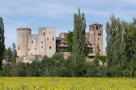 Sunflower fields surrounding the castle.