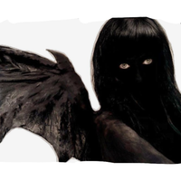 Profile image for mothginny
