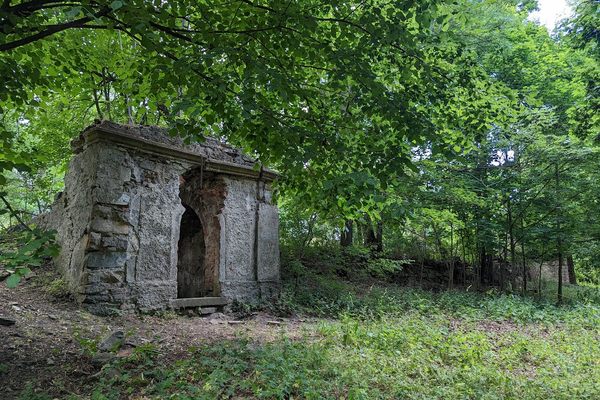 Forest ruins of a church that used to be part of Miedzianka