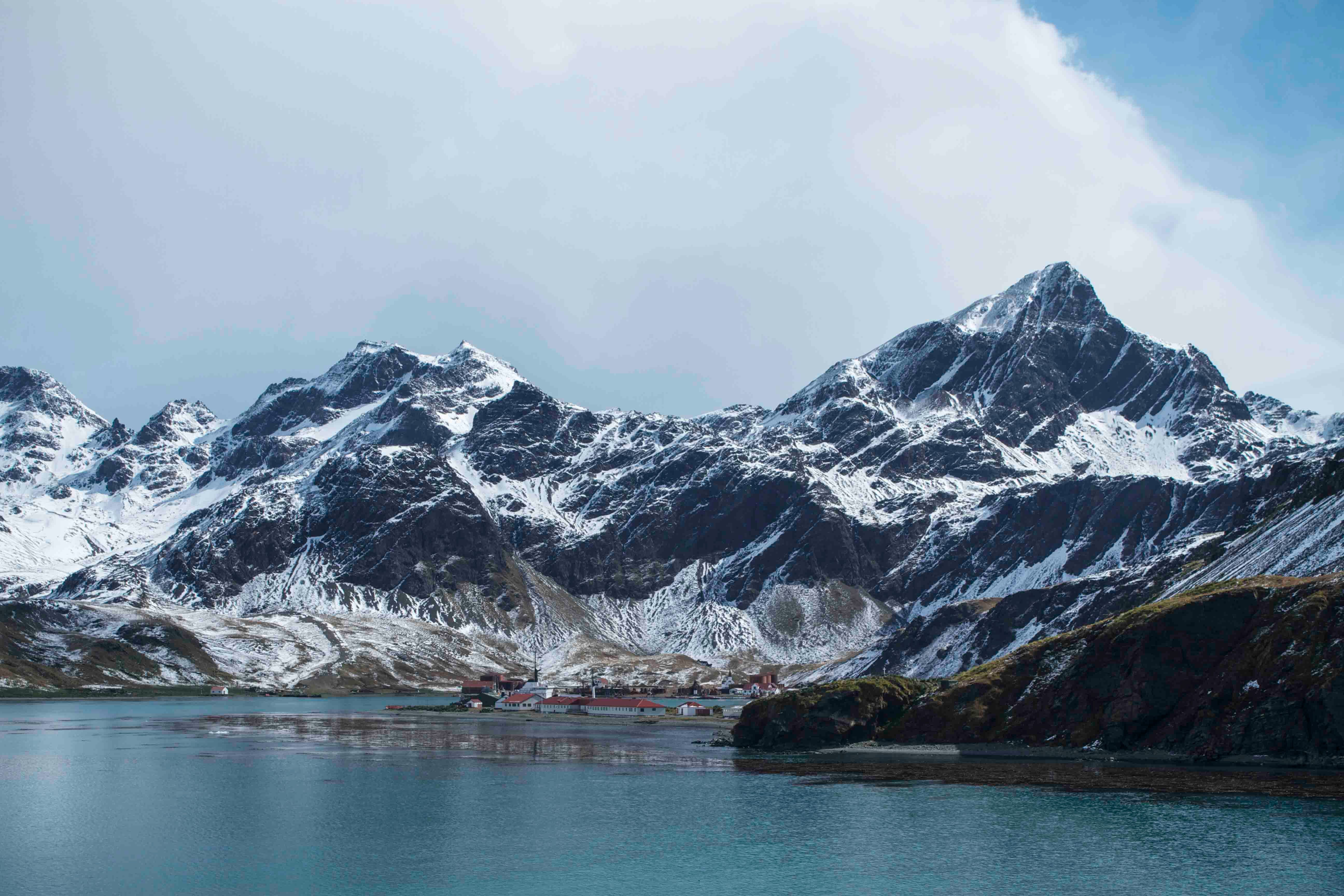 Grytviken, South Georgia. 