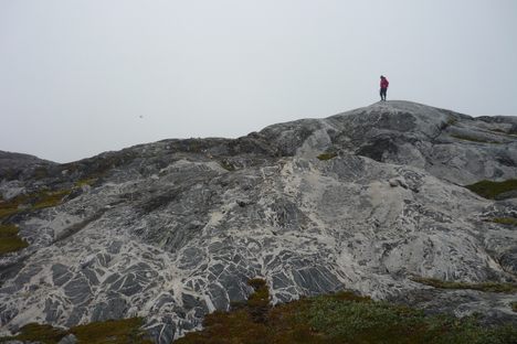 A scientist searches for tell-tale zircons in Western Greenland. 